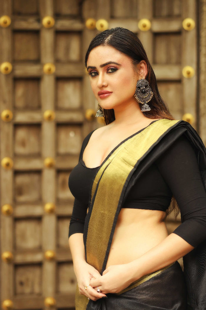 SonyCharishta, Actress, Indian, Wallpaper, Saree
