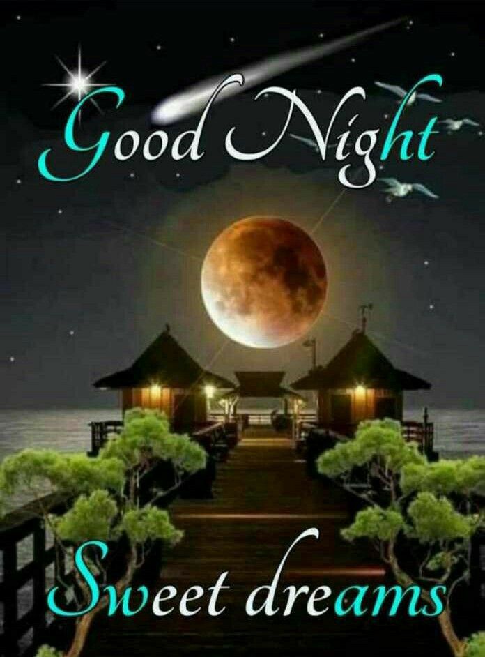 Good Night Wishes | Channel | Hippi